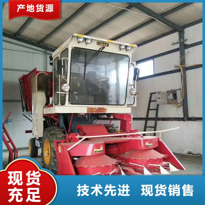 青储机杜宾犬诚信经营现货现发
