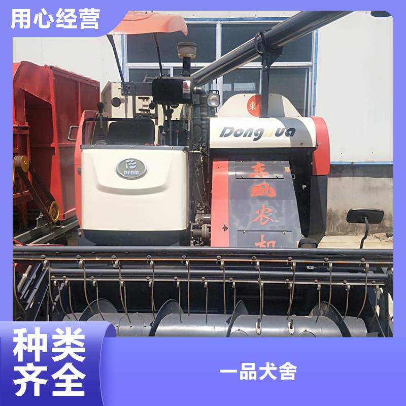 青储机杜宾犬诚信经营现货现发