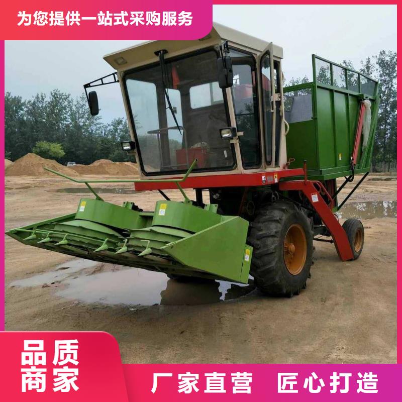 青储机拉布拉多犬严格把关质量放心