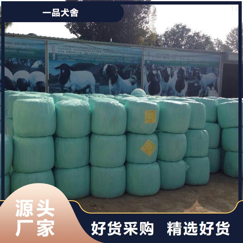 打捆包膜机,【卡斯罗犬】专业设计覆盖范围含|虞城|睢县|许昌|周口|开封|信阳|洛阳|鹤壁