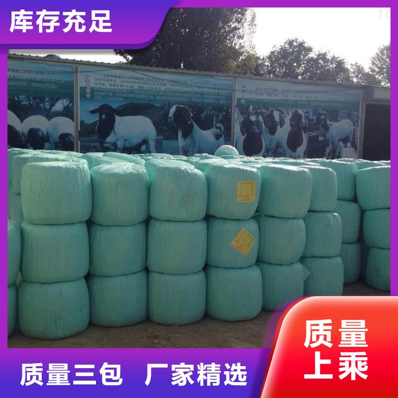 打捆包膜机,【卡斯罗犬】专业设计覆盖范围含|虞城|睢县|许昌|周口|开封|信阳|洛阳|鹤壁