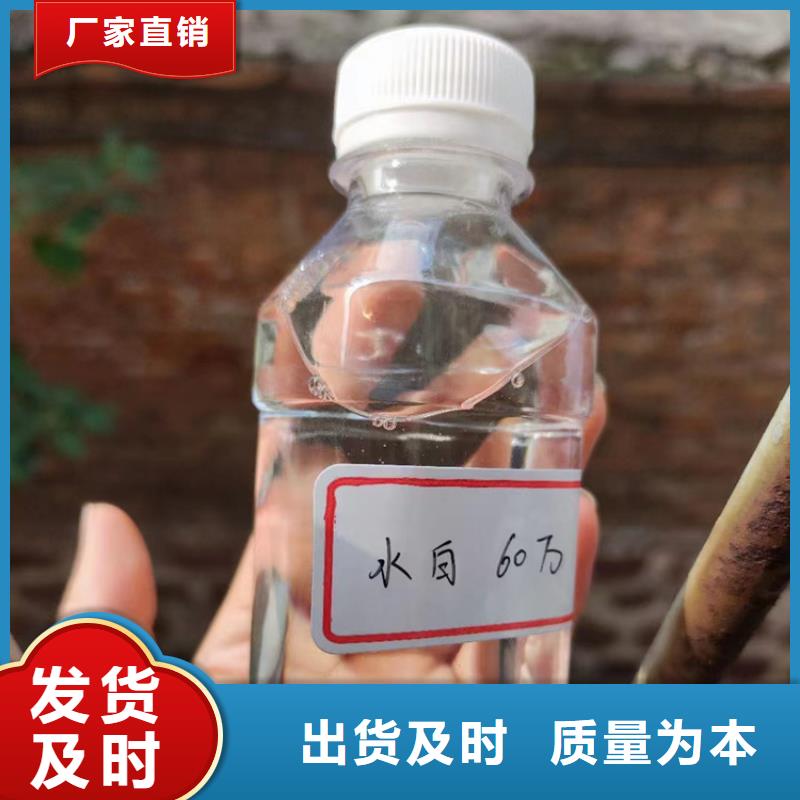 复合碳源实体厂家