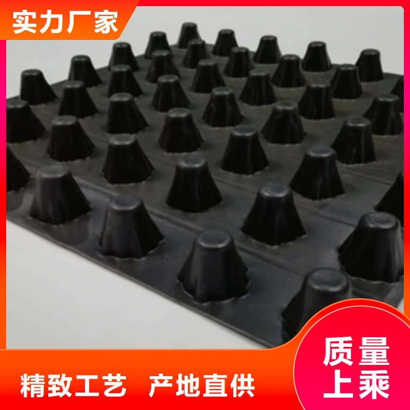 公司【排水板】无纺布厂家产地源头好货