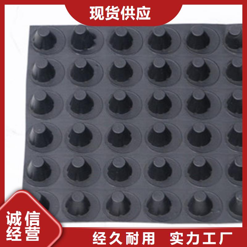 公司【排水板】无纺布厂家产地源头好货
