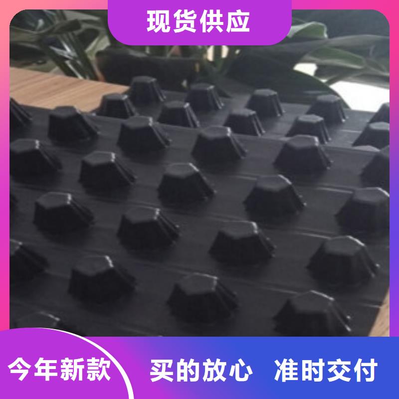 公司【排水板】无纺布厂家产地源头好货