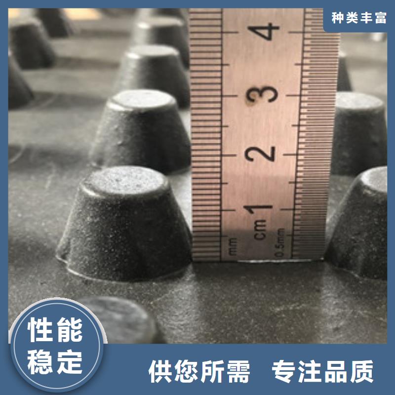 公司【排水板】无纺布厂家产地源头好货