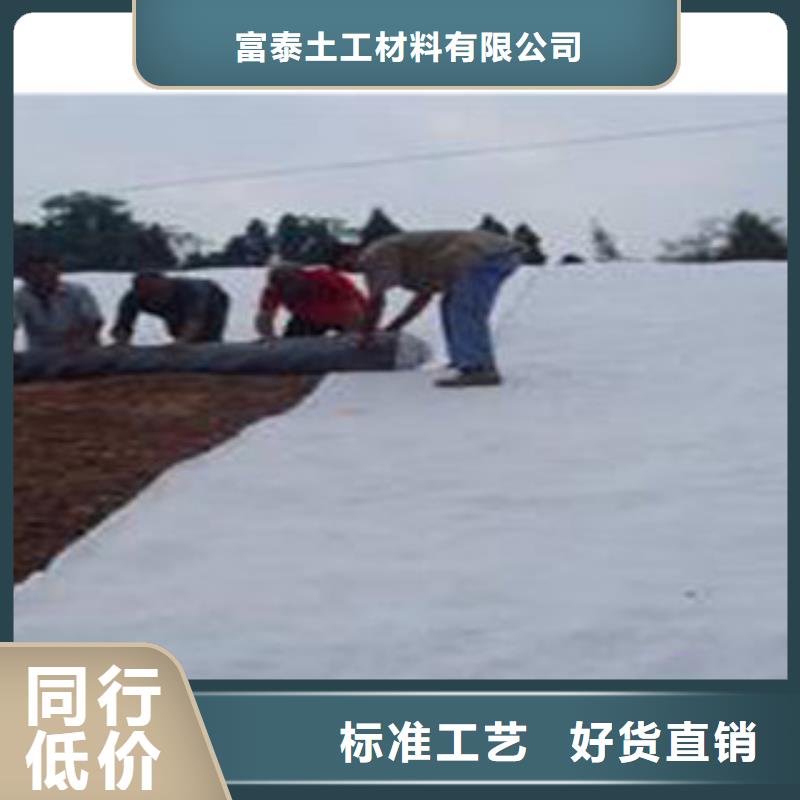 【富泰】|上蔡|汝南|信阳|安阳|新乡|漯河|焦作|郑州|周口防水毯 【蓄排水板厂家】支持大批量采购-富泰土工材料(驻马店市分公司)