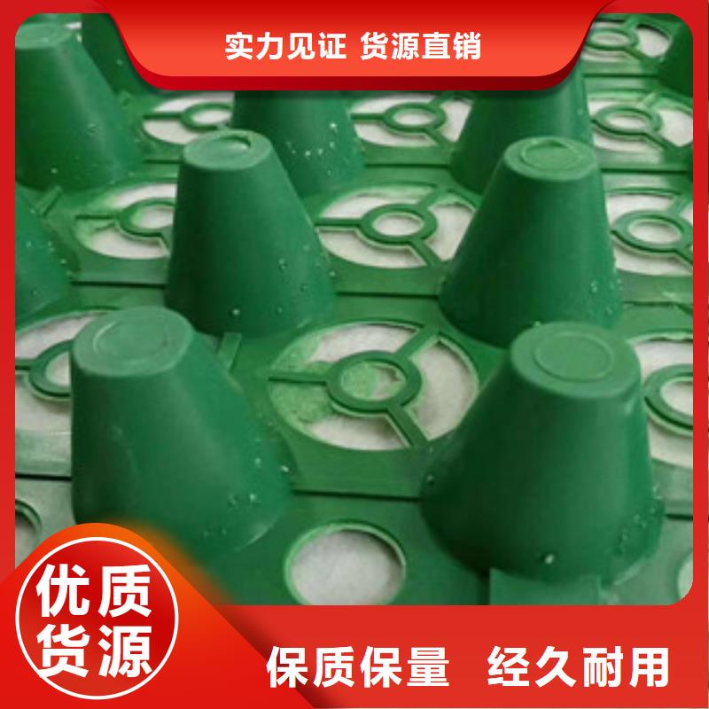 【蓄排水板】蓄排水板厂家价格实惠-可发货到南海|顺德|汕尾|东莞|惠州|汕头|茂名|韶关
