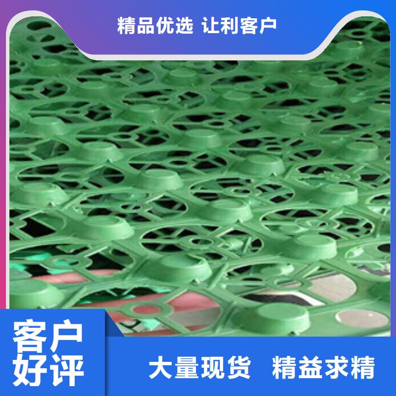 【蓄排水板】蓄排水板厂家价格实惠-可发货到南海|顺德|汕尾|东莞|惠州|汕头|茂名|韶关
