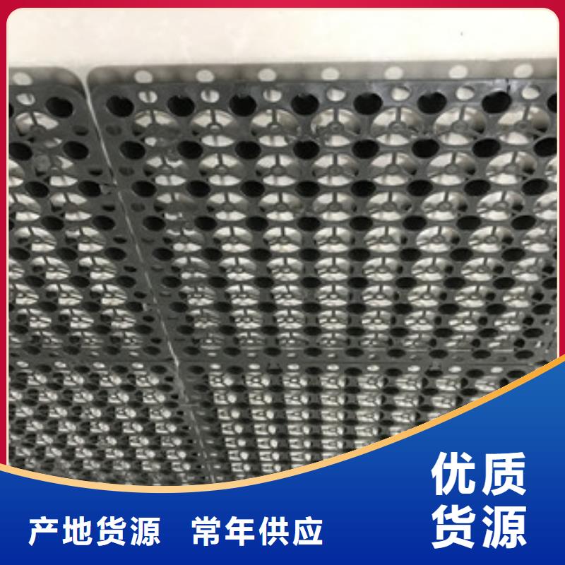 【蓄排水板】蓄排水板厂家价格实惠-可发货到南海|顺德|汕尾|东莞|惠州|汕头|茂名|韶关