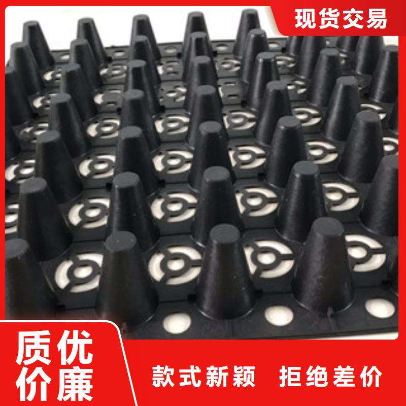 【蓄排水板】蓄排水板厂家价格实惠-可发货到南海|顺德|汕尾|东莞|惠州|汕头|茂名|韶关