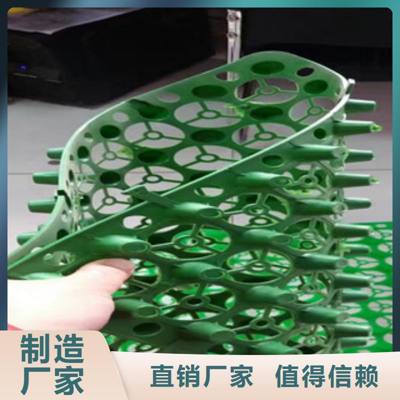 【蓄排水板】蓄排水板厂家价格实惠-可发货到南海|顺德|汕尾|东莞|惠州|汕头|茂名|韶关