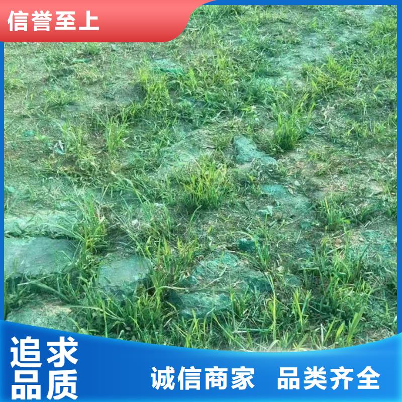 臭氧去除剂满足客户所需