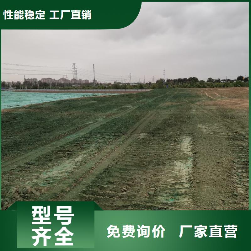 结壳抑尘剂实力厂家