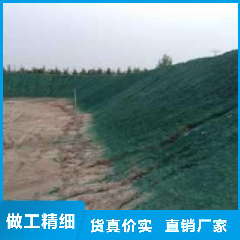 氮氧化物治理溶液pm2.5道路治理溶液